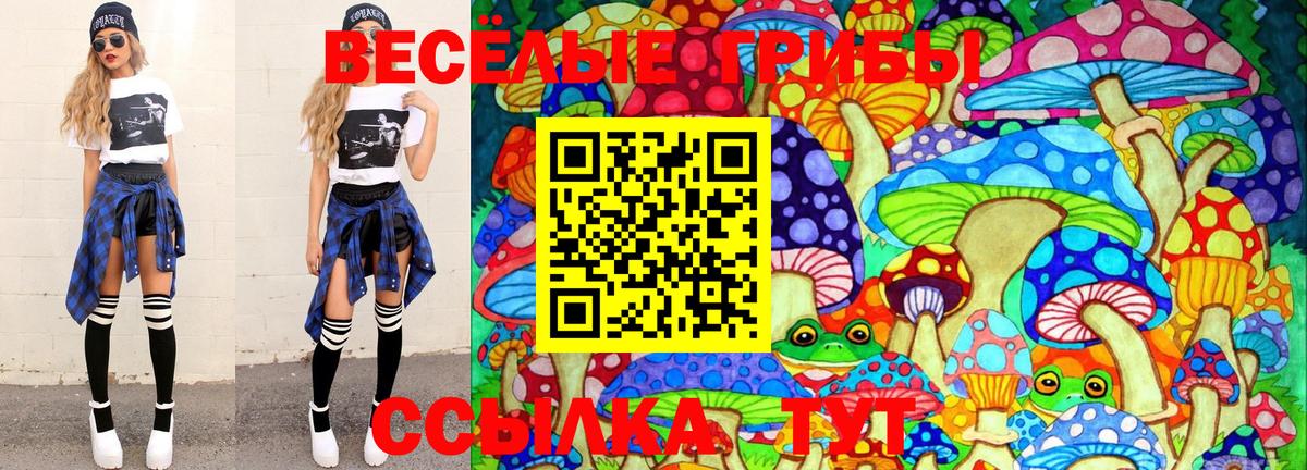 Галлюциногенные грибы MAGIC MUSHROOMS  Псилоцибиновые грибы Psilocybe  Красноярск  Вход с VPN 